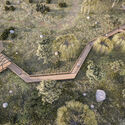 Architecture Inspired by Birds: Fundación Cosmos and the Wetland Parks of Chile - Image 15 of 25